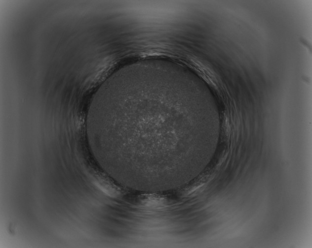 X0000093130601200709261350