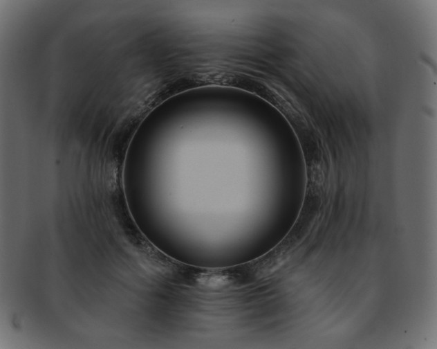 X0000093130602200709261349