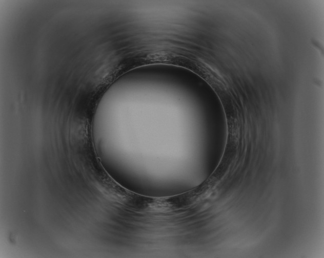 X0000093130603200709261349