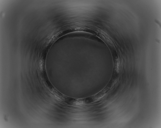 X0000093130604200709261349