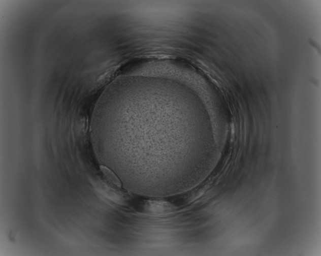 X0000093130605200709261349