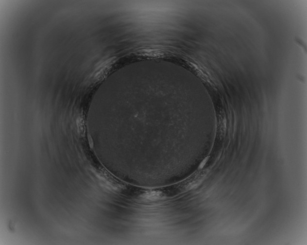 X0000093130609200709261349
