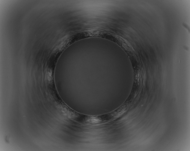 X0000093130610200709261349
