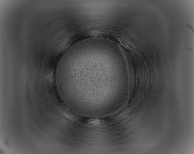 X0000093130611200709261349