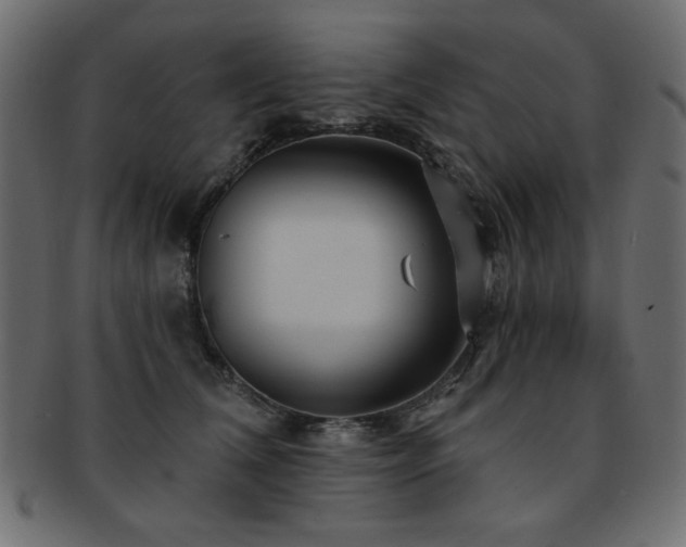 X0000093130612200709261349