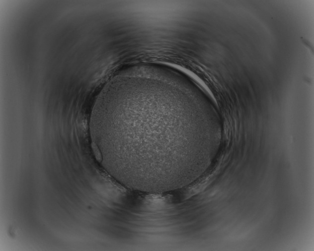 X0000093130613200709261349