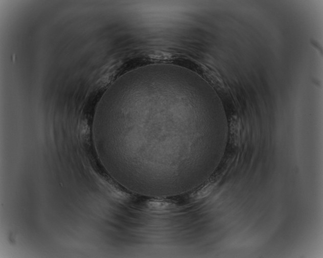 X0000093130614200709261349