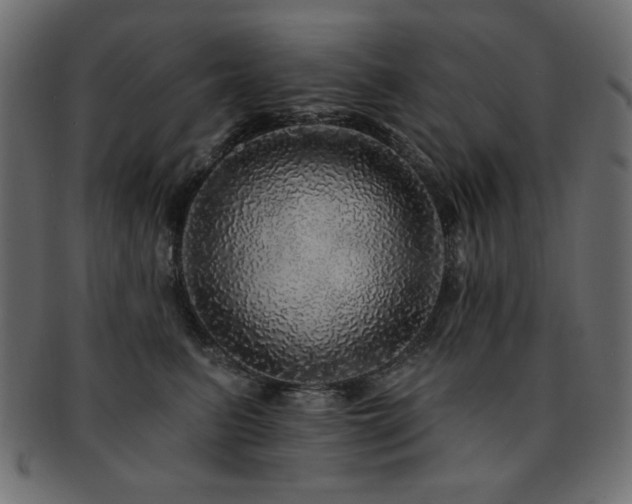 X0000093130615200709261349