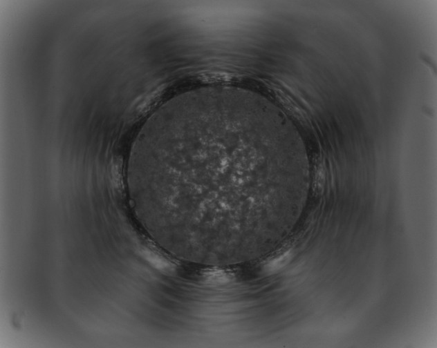 X0000093130616200709261349