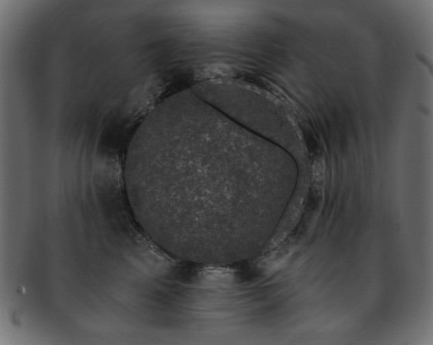 X0000093130617200709261349