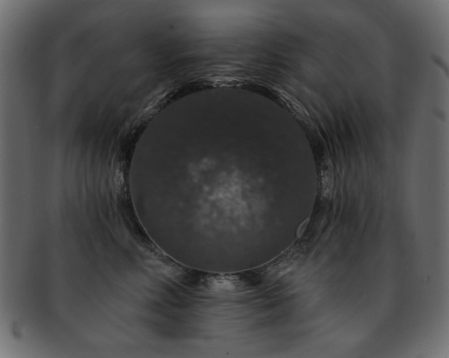 X0000093130618200709261349