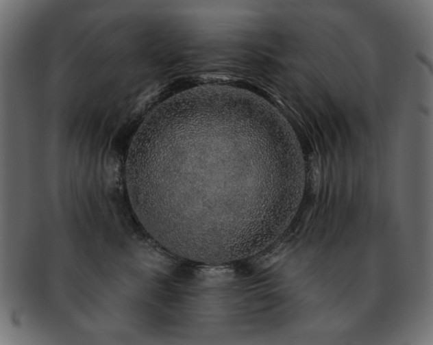 X0000093130619200709261349