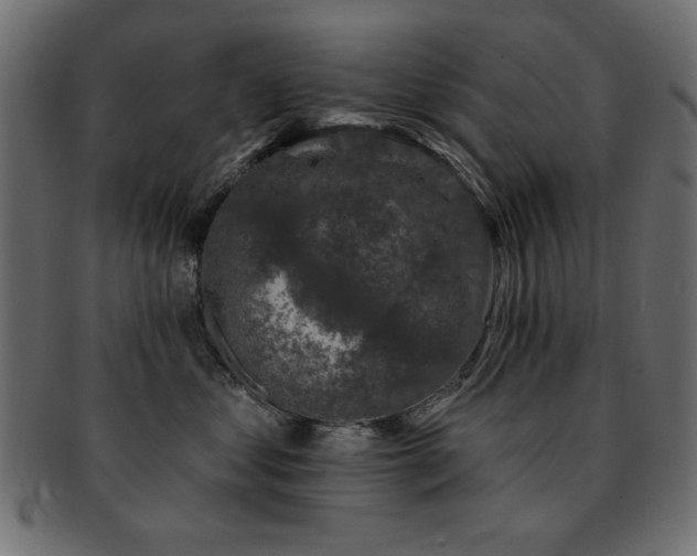 X0000093130621200709261349
