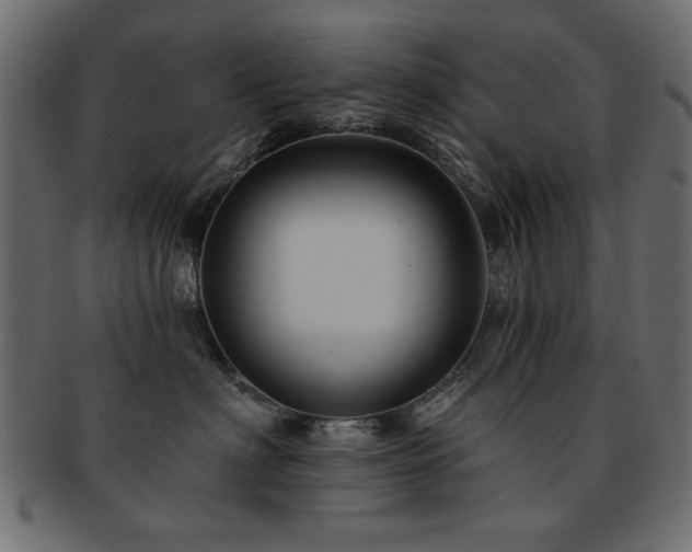 X0000093130622200709261349