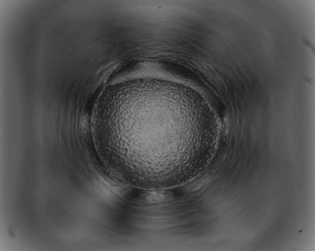 X0000093130623200709261349