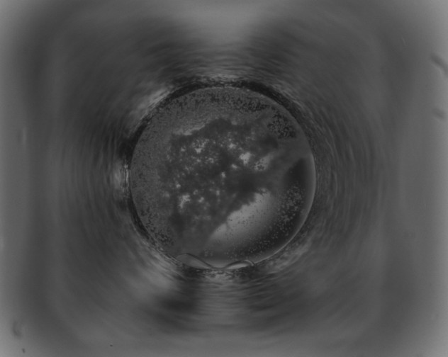 X0000093130624200709261349