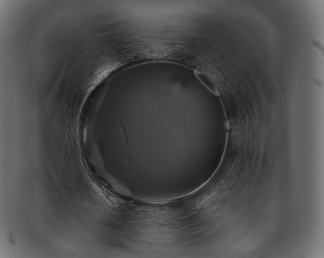 X0000093130626200709261349