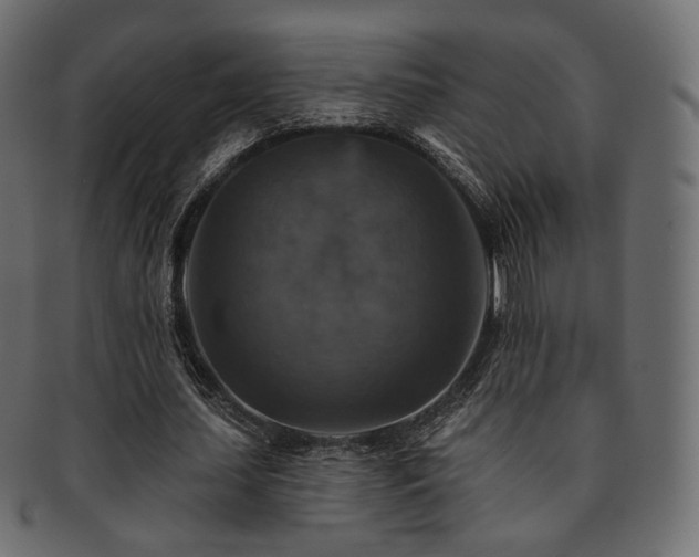 X0000093130627200709261349