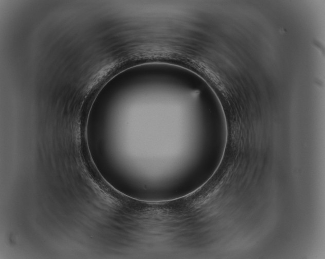 X0000093130629200709261349