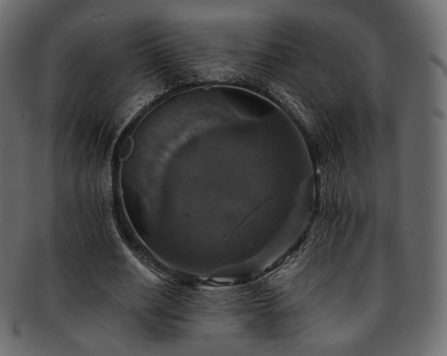 X0000093130630200709261349