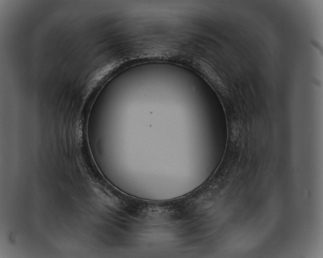 X0000093130632200709261349