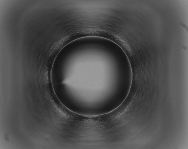 X0000093130633200709261349