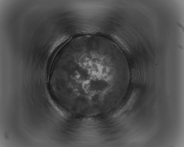X0000093130634200709261349