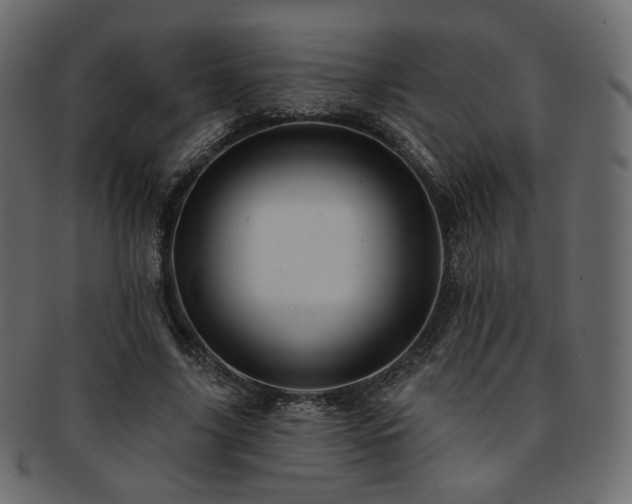 X0000093130635200709261349