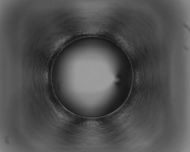 X0000093130636200709261349