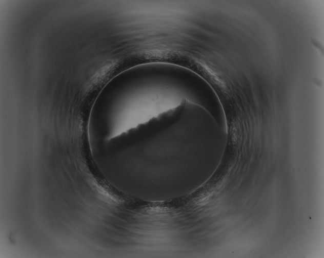 X0000093130637200709261349