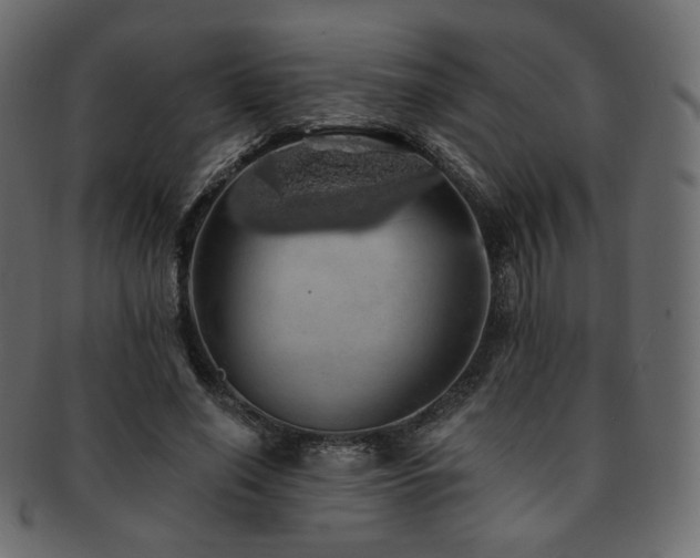 X0000093130638200709261349