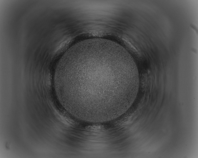 X0000093130639200709261349