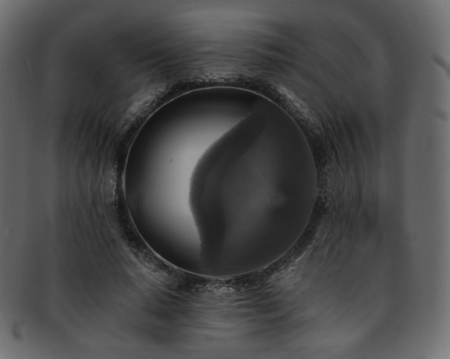 X0000093130640200709261349