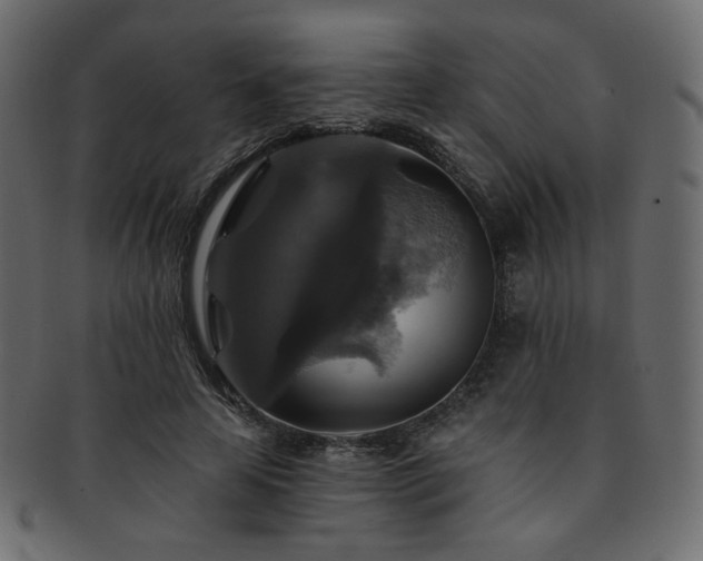 X0000093130641200709261349
