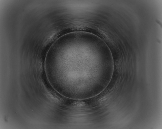 X0000093130642200709261349