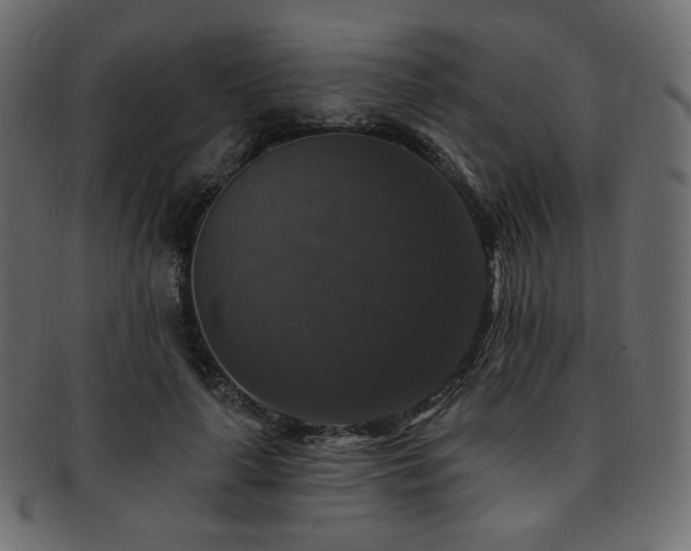 X0000093130643200709261349