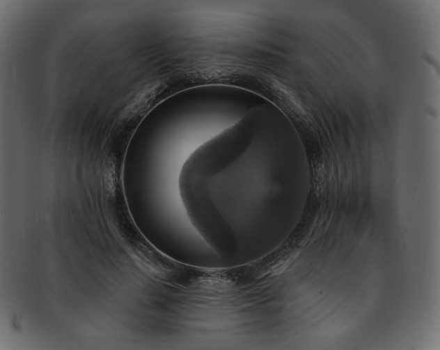 X0000093130644200709261349