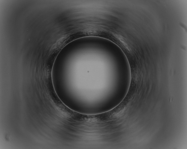 X0000093130645200709261349