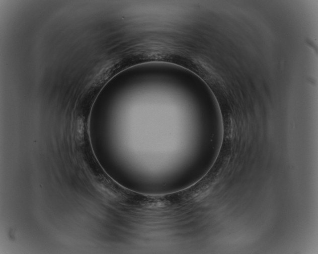 X0000093130646200709261349