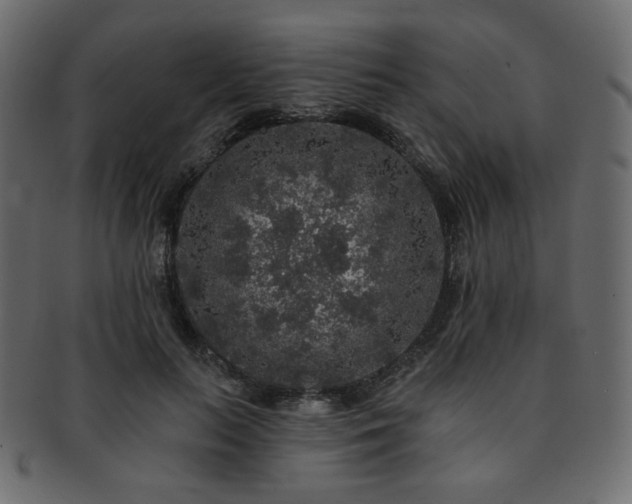 X0000093130647200709261349