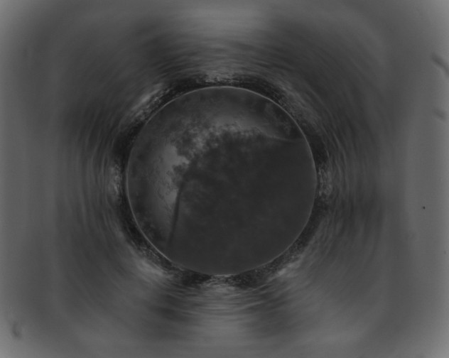 X0000093130648200709261349