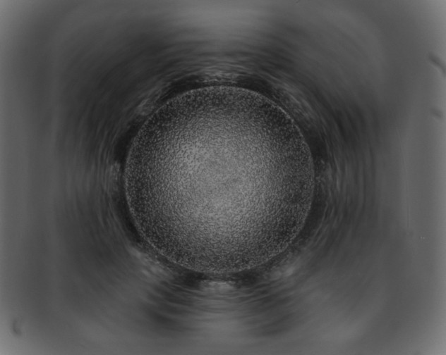 X0000093130649200709261349