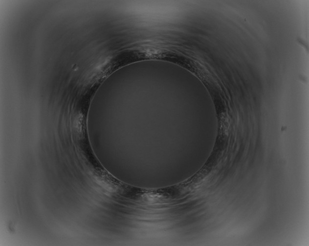 X0000093130650200709261349