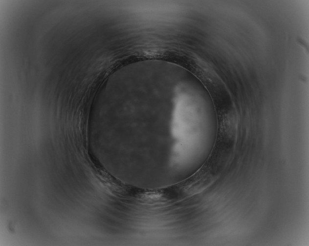 X0000093130651200709261349