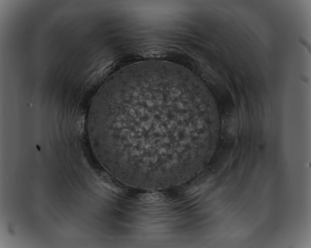 X0000093130652200709261349