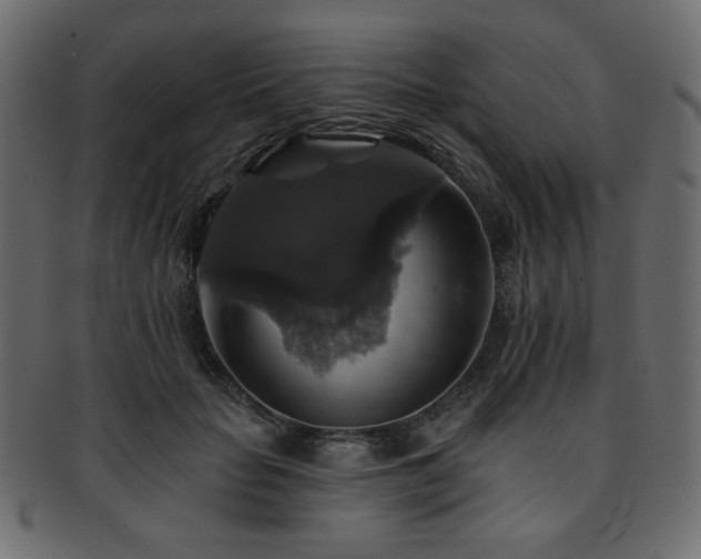X0000093130653200709261349