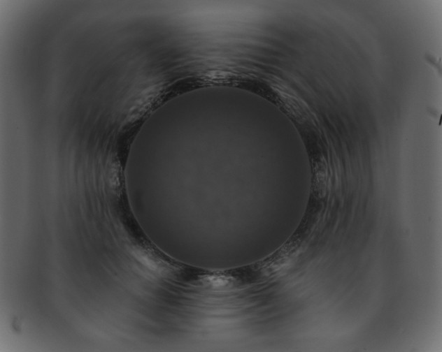 X0000093130654200709261349