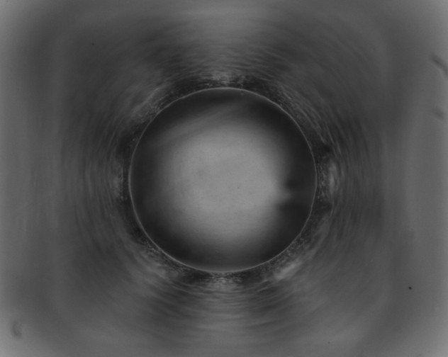 X0000093130656200709261349