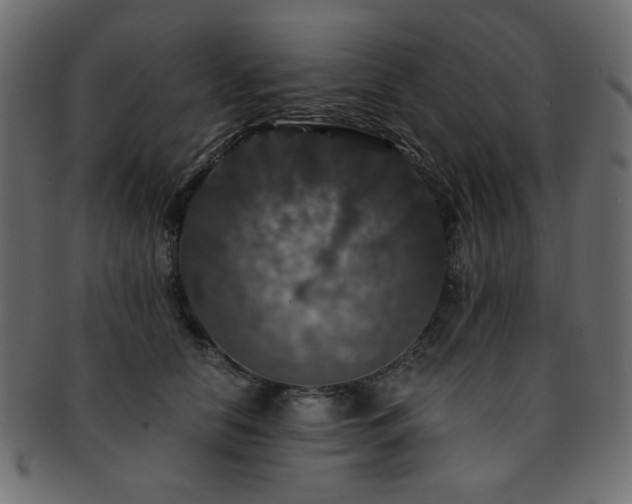 X0000093130658200709261349