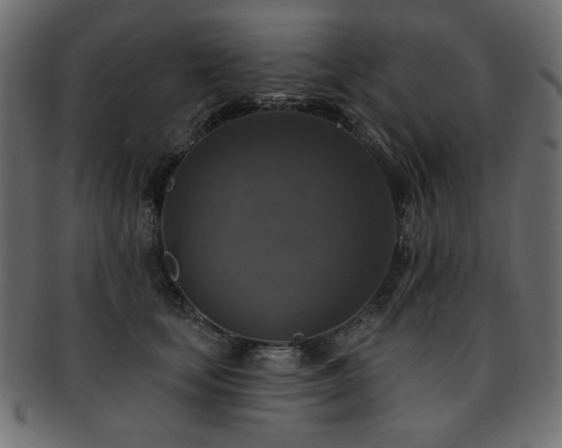 X0000093130659200709261349